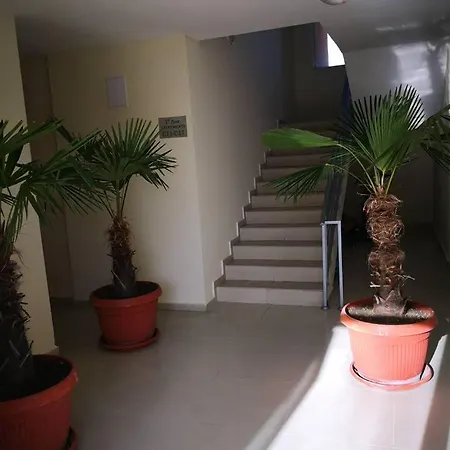 Kamelia Garden 2 호텔 써니비치